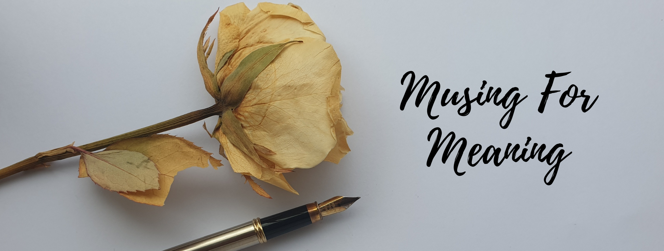 rose and fountain pen banner, text Musing For Meaning